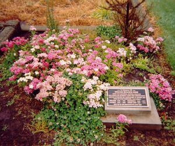 Plaque to William Cone