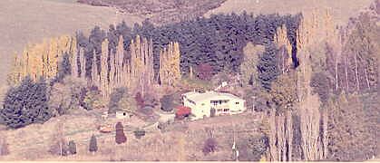 Te Puke