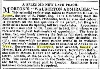 1843 Gardeners Chronicle