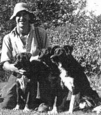 Allan and his team of dogs