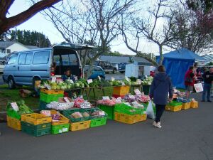 Te Puna Market Day
