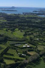 Te Puna to the Mount